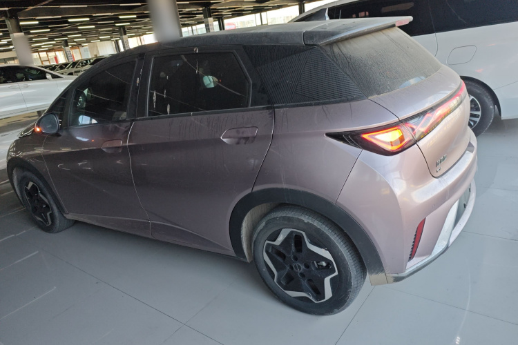 比亚迪 海豚 2021款 405km 时尚版车身外观4