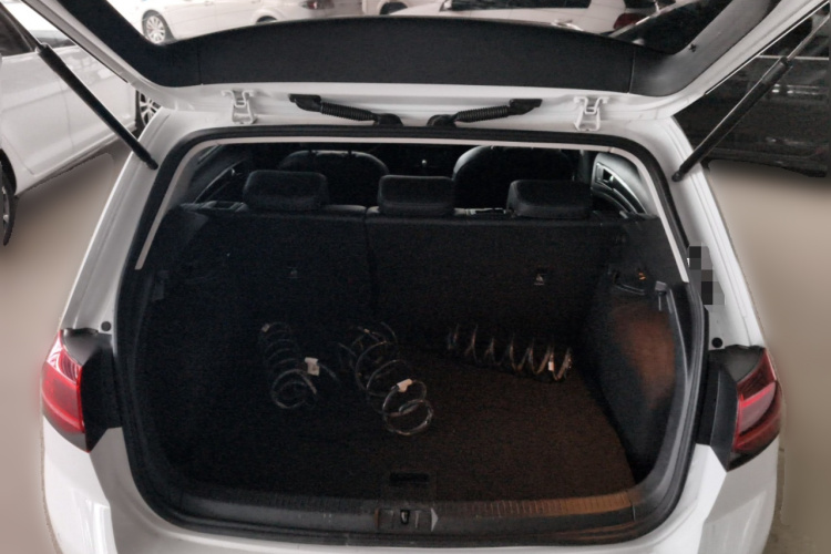 大众 高尔夫 2019款 280TSI DSG豪华型 国VI中控内饰23