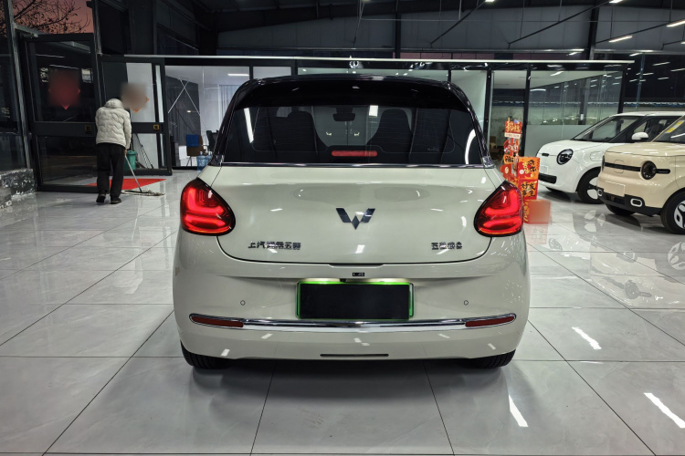 五菱汽车 五菱缤果 2023款 333km 灵犀互联款车身外观6004