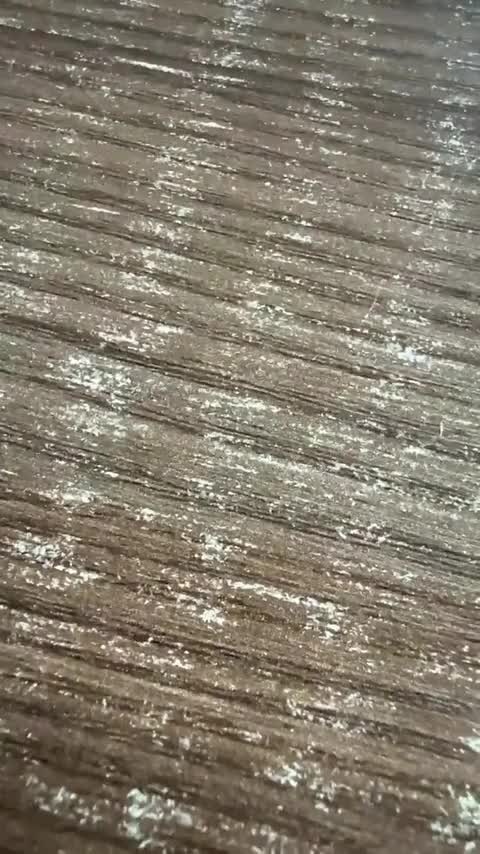 五菱汽车 五菱凯捷 2020款 1.5T CVT尊贵型讲解2