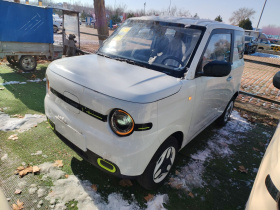 吉利银河 熊猫 2025款 210km 元气熊