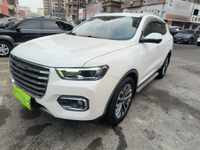 哈弗H6 2020款 2.0GDIT 自动铂金豪华版