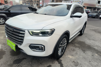 哈弗H6 2020款 2.0GDIT 自动铂金豪华版