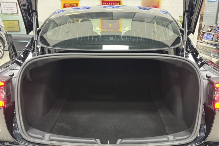 特斯拉 Model 3 2020款 长续航后轮驱动版局部细节23