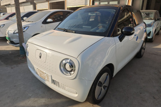 欧拉黑猫 2022款 301km 基础型 三元锂