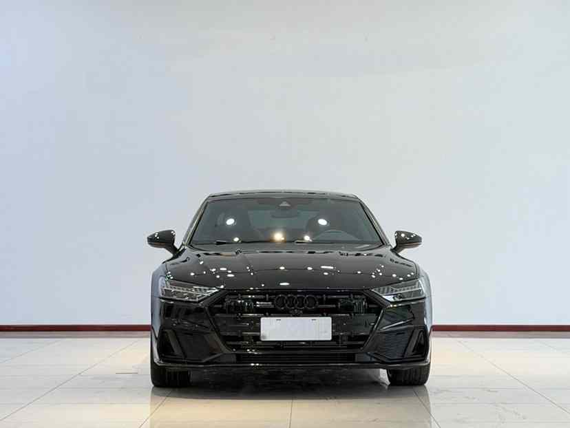 奥迪A7L 2023款 45 TFSI quattro S-line 黑武士版(4)