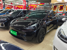 特斯拉 Model Y 2023款 后轮驱动版