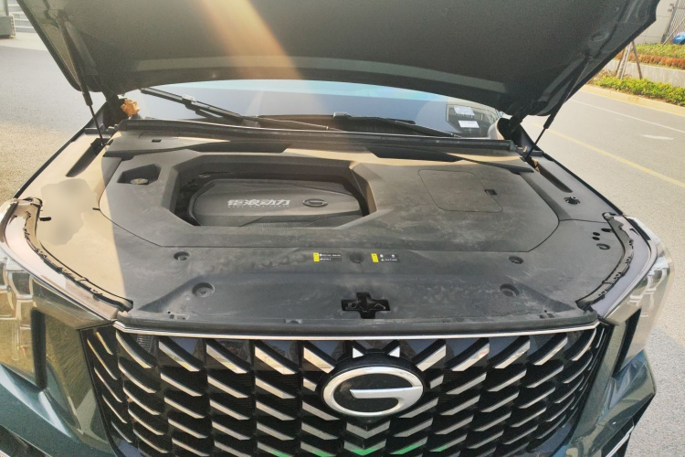 广汽传祺 传祺GS8 2022款 领航系列 2.0TGDI 两驱尊享版（七座）局部细节24