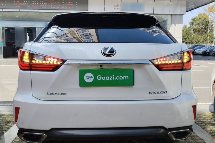 雷克萨斯RX 2016款 300 四驱典雅版 国V车身外观6