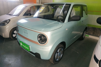 吉利银河 2024款 熊猫mini 200km 耐力熊