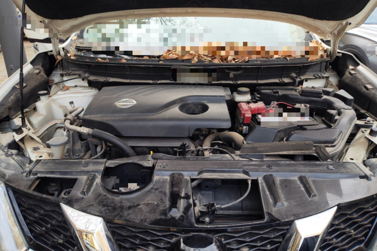 日产 奇骏 2014款 2.0L CVT智领版 2WD局部细节24