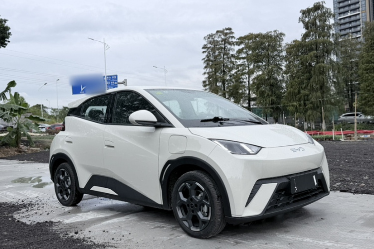 比亚迪 海鸥 2025款 305km 自由版车身外观6001