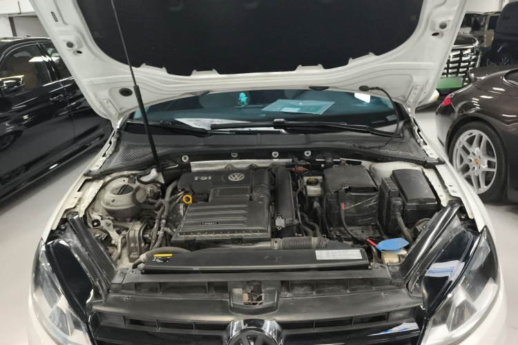 大众 高尔夫 2016款 230TSI 自动舒适型机舱底盘24