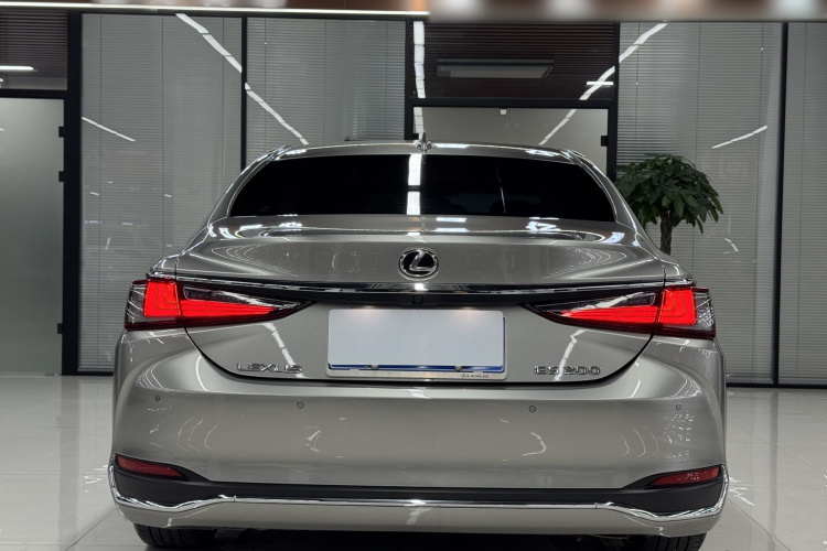 雷克萨斯ES 2022款 200 卓越版车身外观6005