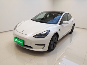 特斯拉 Model 3 2021款 改款 标准续航后驱升级版 3D1
