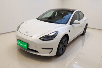 特斯拉 Model 3 2021款 改款 标准续航后驱升级版 3D1