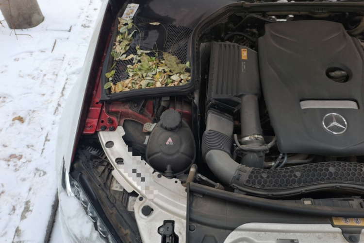 奔驰C级 2018款 C 200 L 运动版 成就特别版局部细节9006