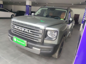 哈弗猛龙新能源 2023款 Hi4 102 探索版