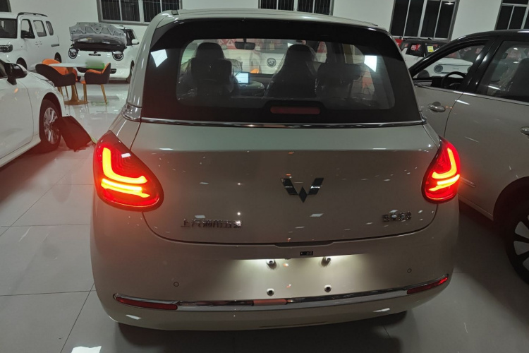 五菱汽车 五菱缤果 2024款 333km 悦享款车身外观6004