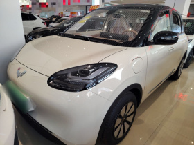 五菱汽车 五菱缤果 2025款 333km 灵犀互联款