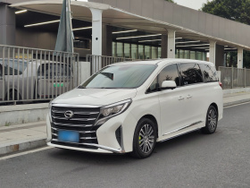 广汽传祺 传祺M8 2021款 领秀系列 390T 至尊版