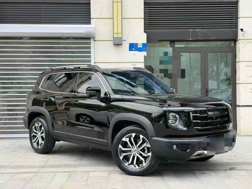 哈弗大狗 2022款 1.5T DCT两驱边牧版(3)