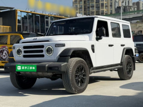 212 T01 2024款 2.0T 探险家