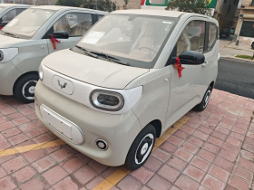 五菱汽车 宏光MINIEV 2024款 第三代 215km 青春版