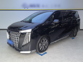 广汽传祺 传祺M8 2024款 大师系列 400T 尊贵版