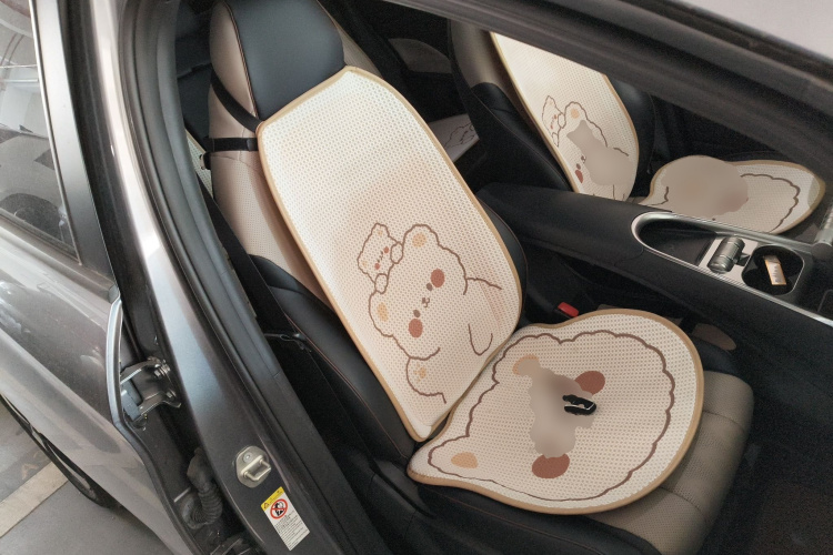 比亚迪 海豚 2023款 420km 时尚版局部细节41