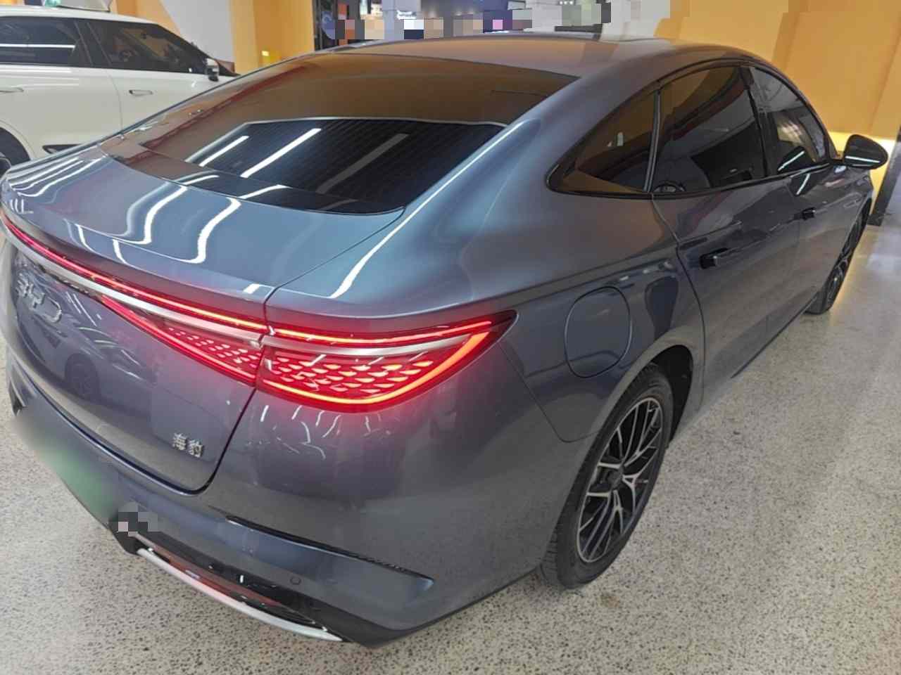 比亚迪 海豹 2023款 DM-i 1.5T 121km 尊荣型(5)