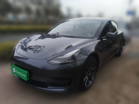 特斯拉 Model 3 2022款 后轮驱动版