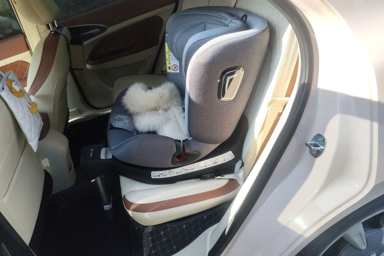 欧拉好猫 2023款 401km标准续航 豪华型 磷酸铁锂中控内饰21