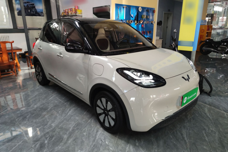 五菱汽车 五菱缤果 2023款 333km 悦享+款车身外观3