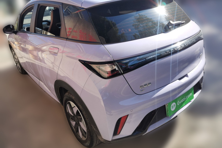 比亚迪 海豚 2024款 荣耀版 420km 自由版车身外观6003