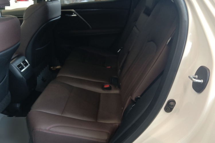 雷克萨斯RX 2020款 300 四驱典雅版 国VI中控内饰21