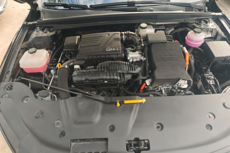 比亚迪 秦PLUS 2024款 荣耀版 DM-i 55KM领先型机舱底盘24