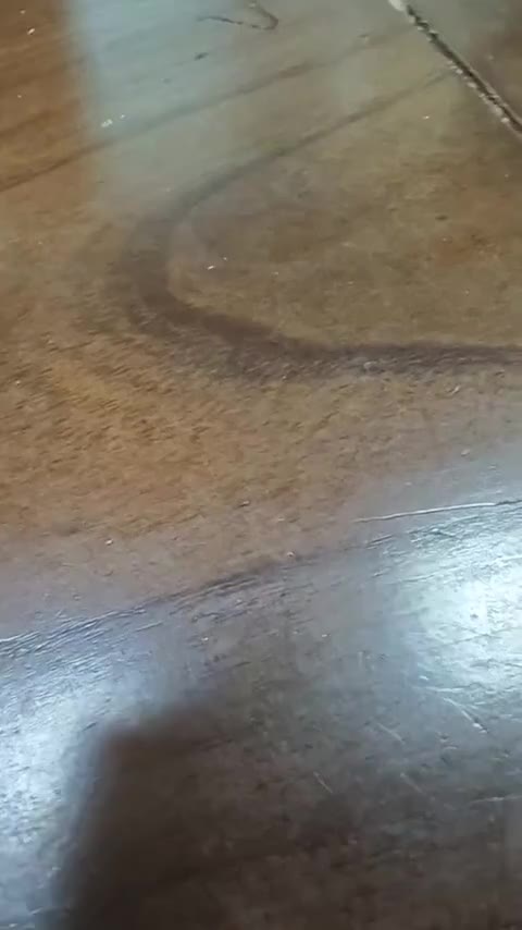 雪佛兰 科鲁泽 2022款 320 自动悦享天窗版讲解2