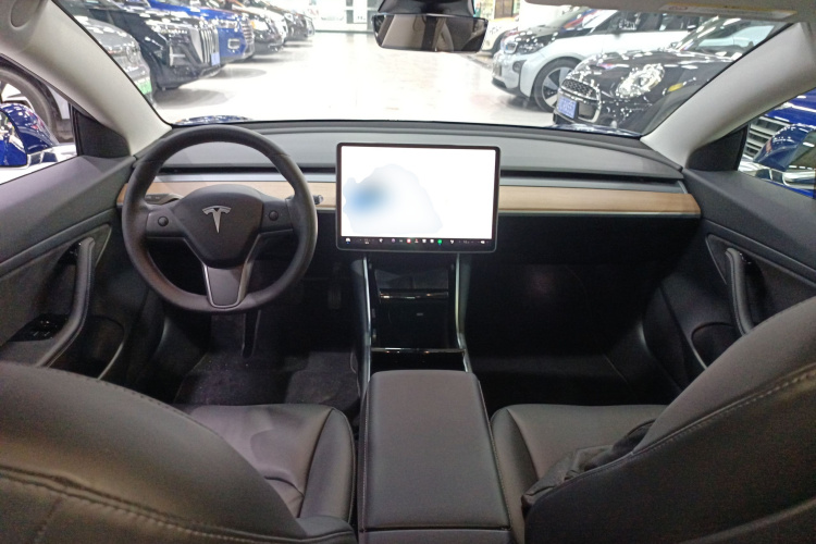 特斯拉 Model 3 2020款 改款 长续航后轮驱动版中控内饰7002