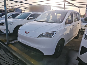 五菱汽车 五菱宏光新能源 2024款 纯电版 300KM 标准型