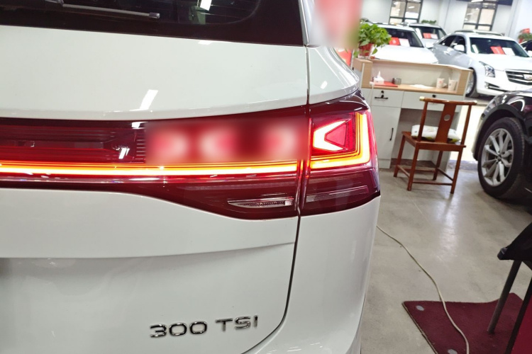 大众 探岳 2024款 300TSI 两驱豪华Plus进阶版车身外观6006