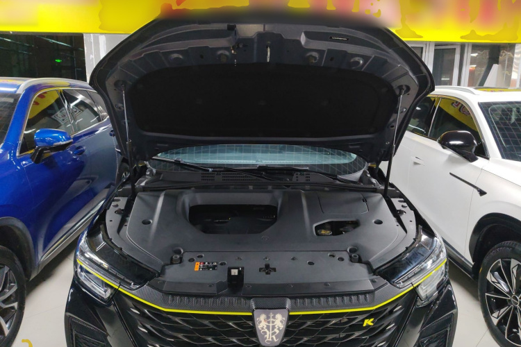 荣威RX5 2021款 PLUS 330TGI 自动国潮智臻版局部细节24