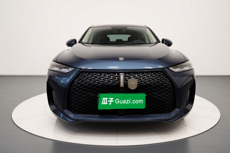 魏牌 P8 2018款 2.0T 旗舰型车身外观2