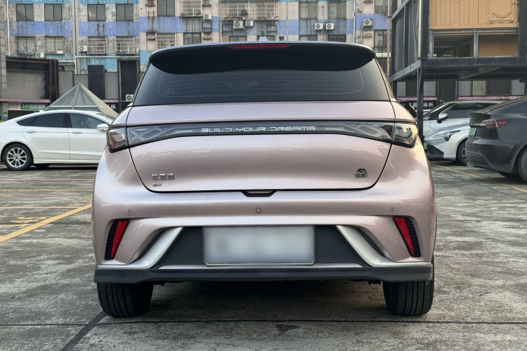 比亚迪 海豚 2021款 401km 骑士版车身外观6005