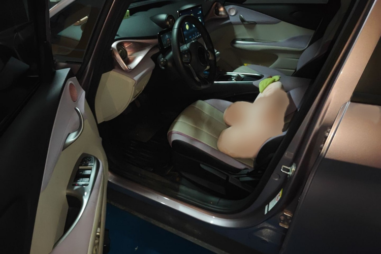 比亚迪 海豚 2021款 405km 自由版中控内饰7003