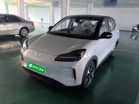 五菱汽车 五菱缤果PLUS 2024款 510km 五座版