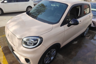 零跑汽车 零跑T03 2021款 400轻享版 磷酸铁锂