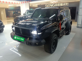 坦克300 2023款 2.0T 铁骑02