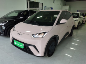 比亚迪 海鸥 2025款 305km 活力版