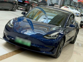 特斯拉 Model 3(进口) 2019款 长续航后驱版